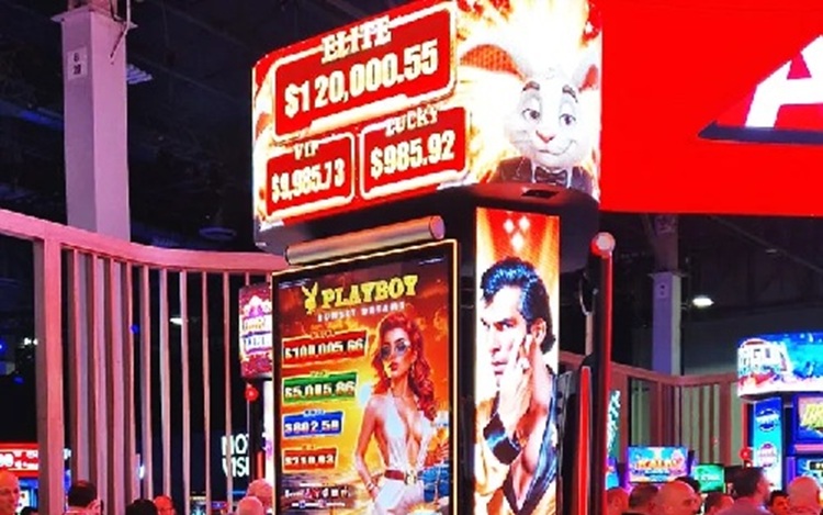 AINSWORTH Playboy Elite